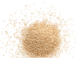Quinoa Hidrolisada